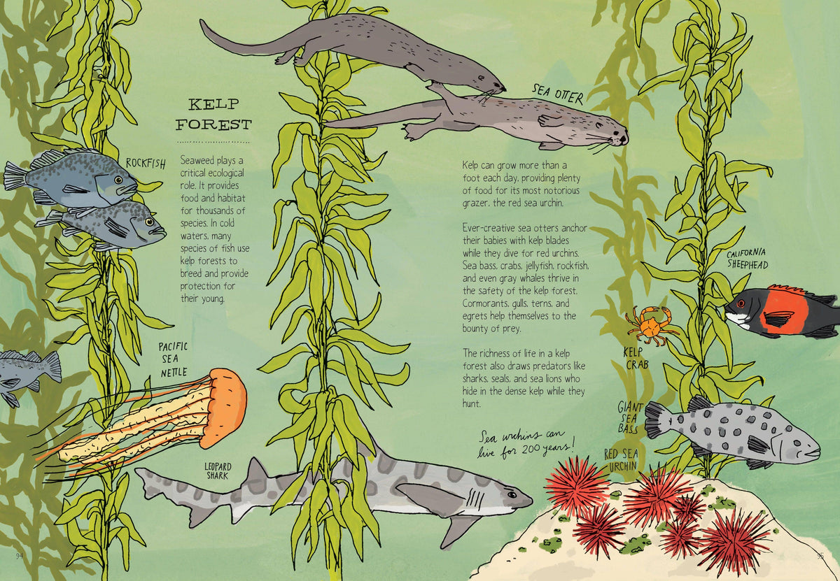 Ocean Anatomy: The Curious Parts & Pieces