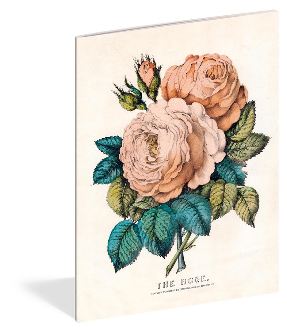 John Derian Paper Goods: Everything Roses Notebooks