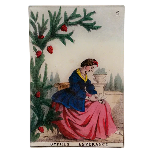 John Derian  - Cypress Hope - Rectangular Tray  6 x 9"