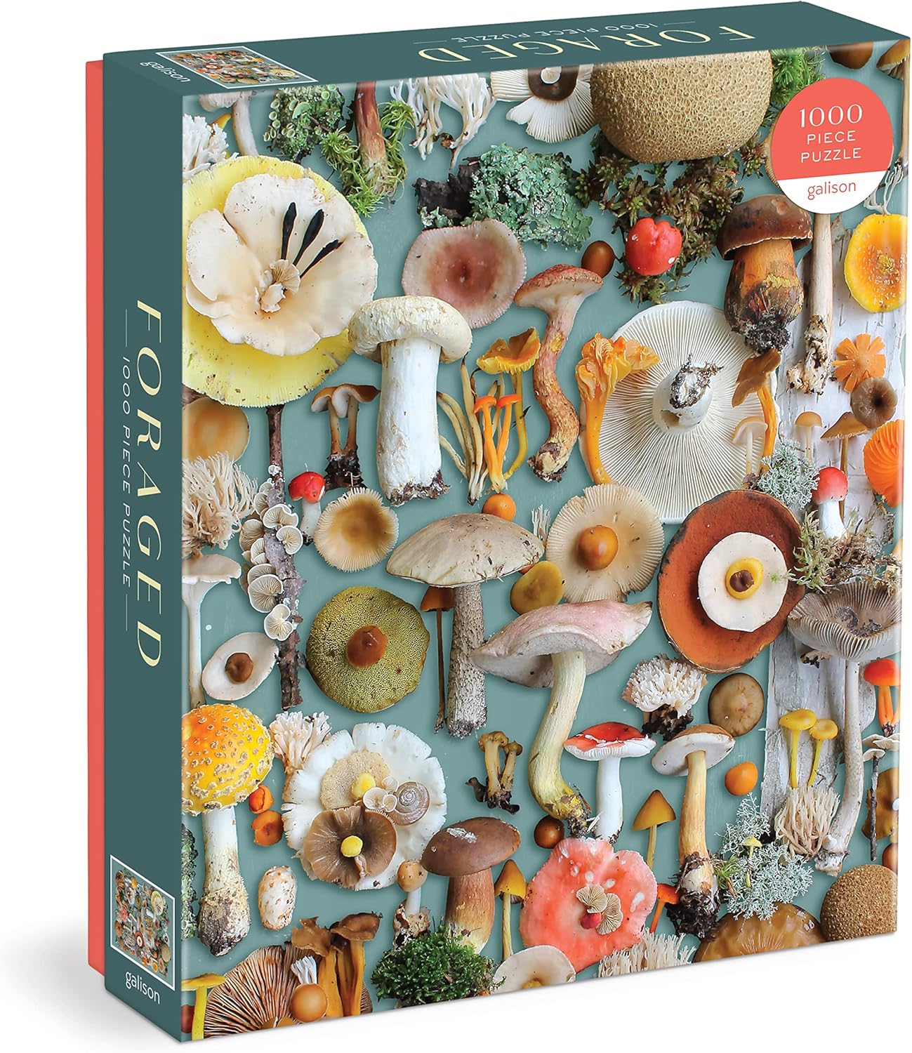 Mushroom Puzzle - 1000 pieces
