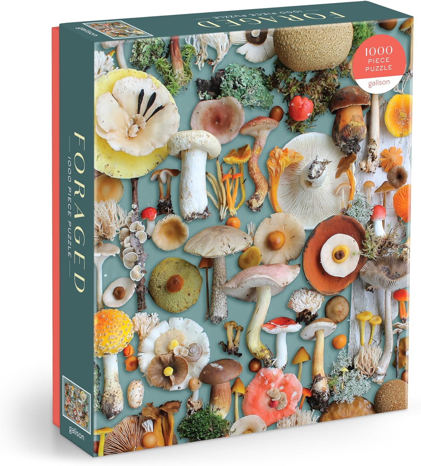 Mushroom Puzzle - 1000 pieces