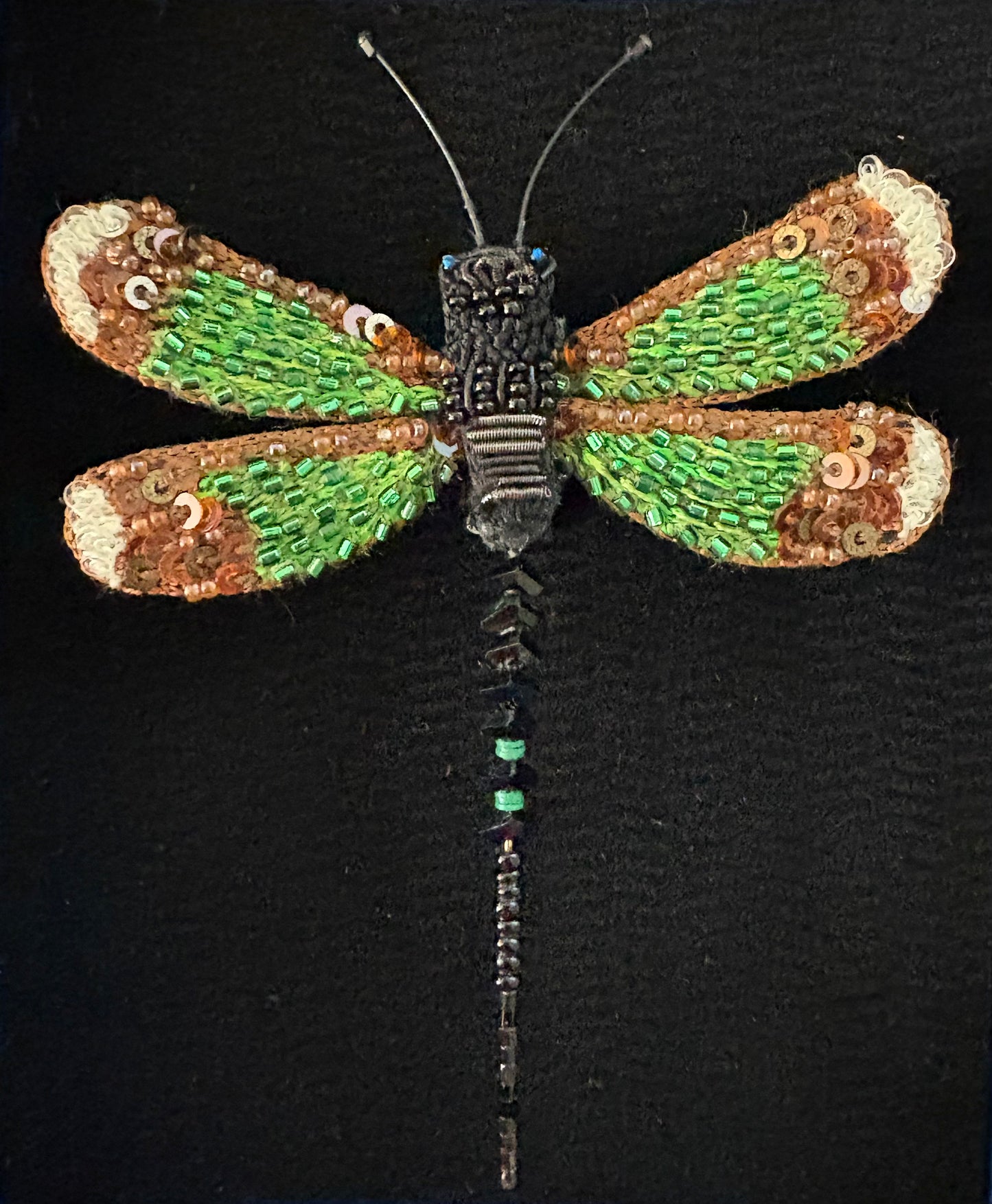 Trovelore Brooch - Banded Demoiselle