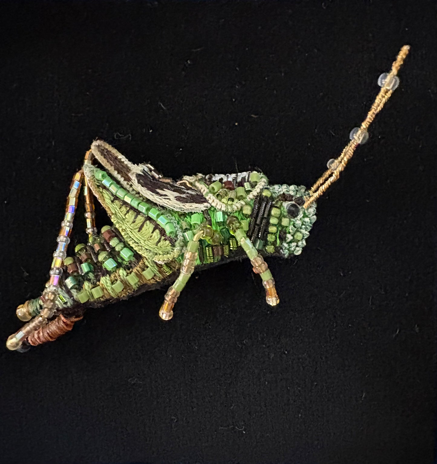 Trovelore Brooch - Two Stripped Grasshopper
