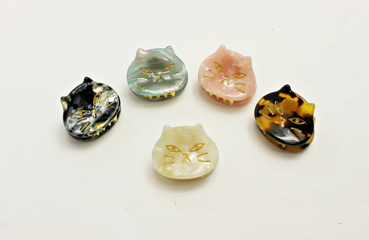 Small Cat Jaws