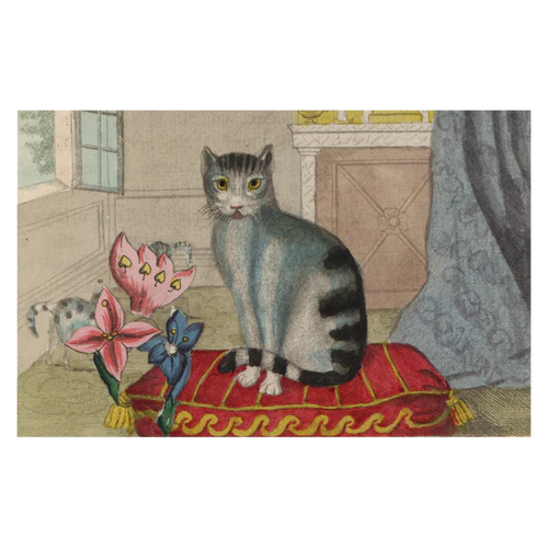 John Derian Post Cards