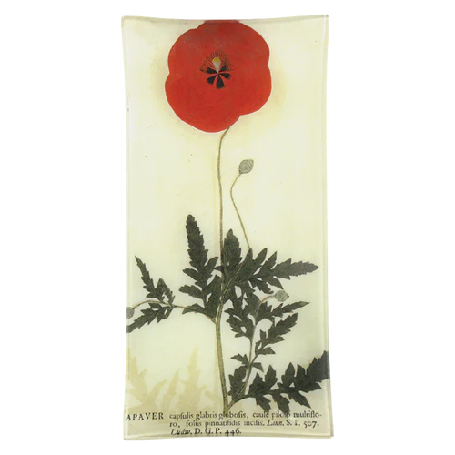 John Derian - Red Poppy Pencil Tray - 6 x 12"