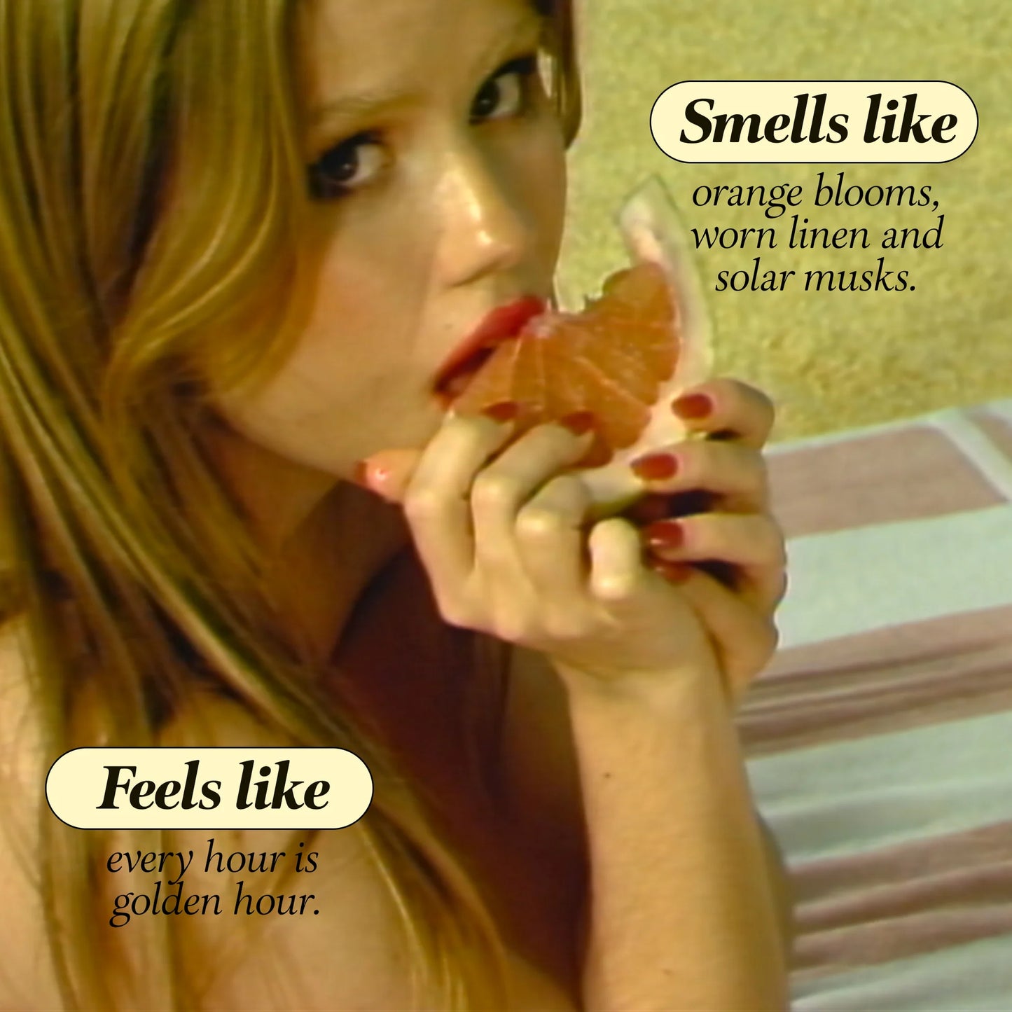 Boy Smells Perfume - Solar Drip