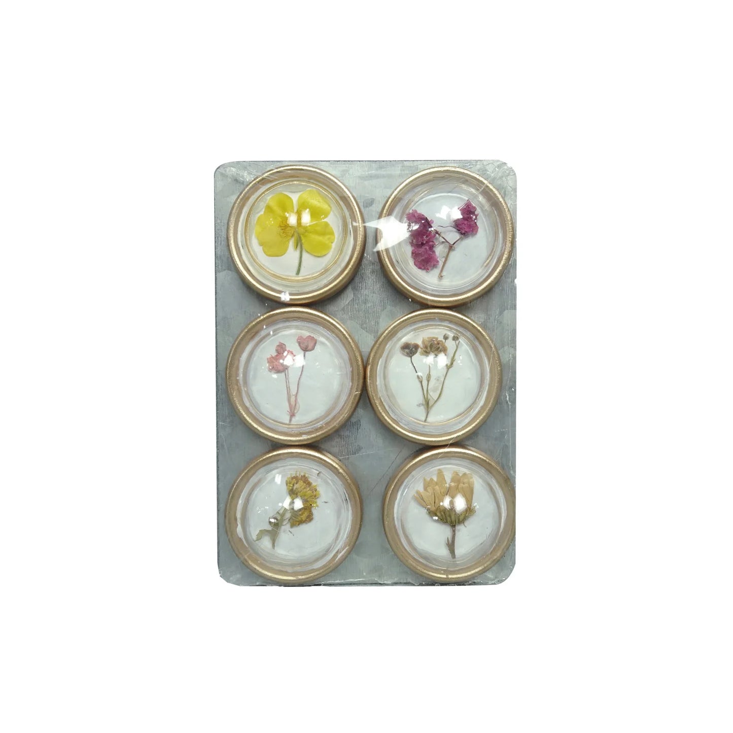 Botanical Magnets S/6