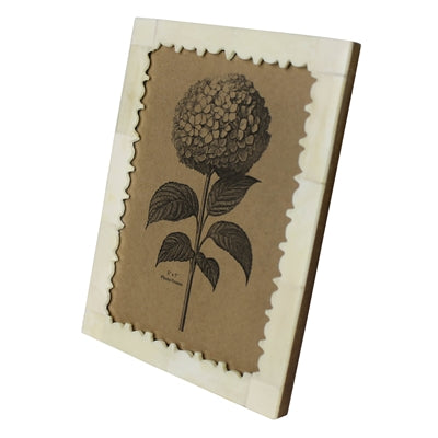 Bone Picture Frame 5 x 7