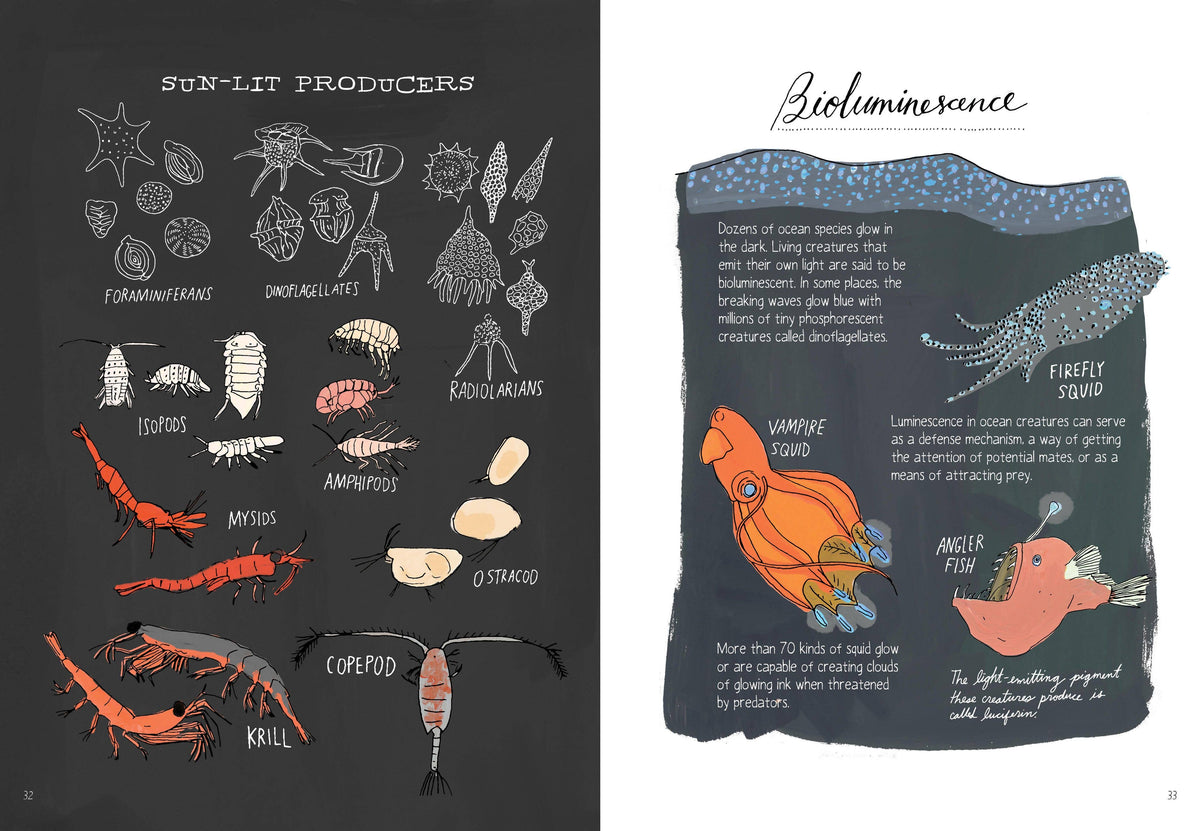 Ocean Anatomy: The Curious Parts & Pieces