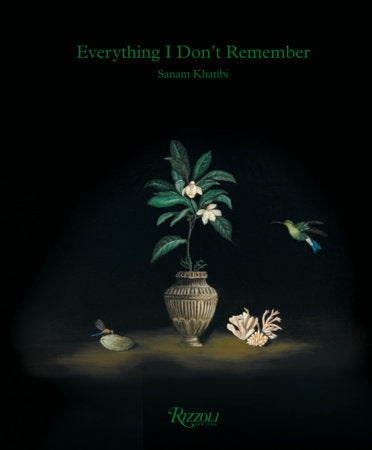 Everything I Don't Remember Book