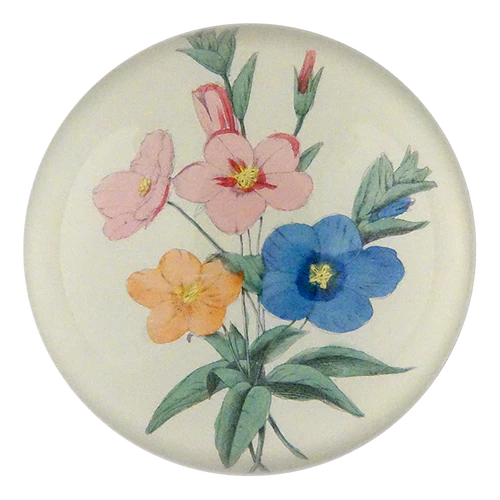 John Derian - Mourons Dome Paperweight