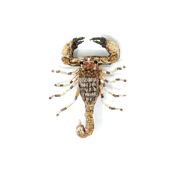 Trovelore Brooch - Desert Scorpion
