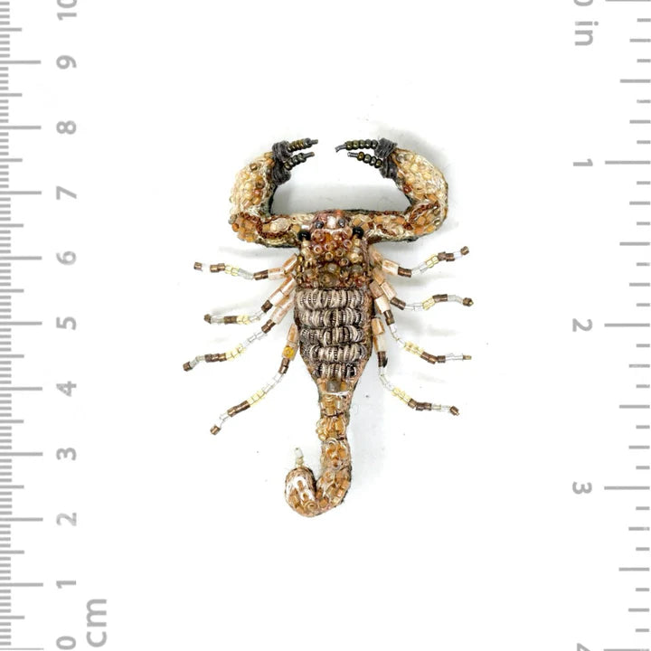 Trovelore Brooch - Desert Scorpion