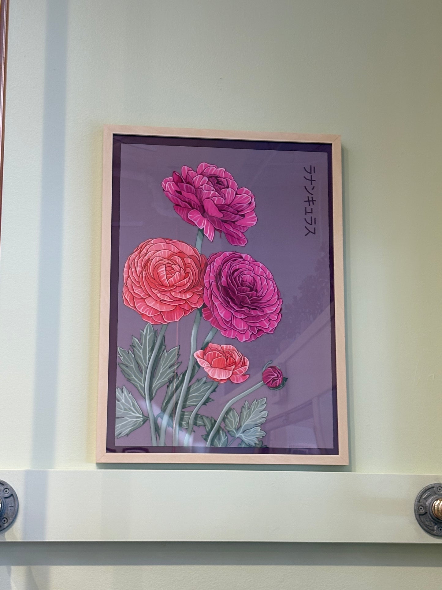 Shido Poster Ranunculus