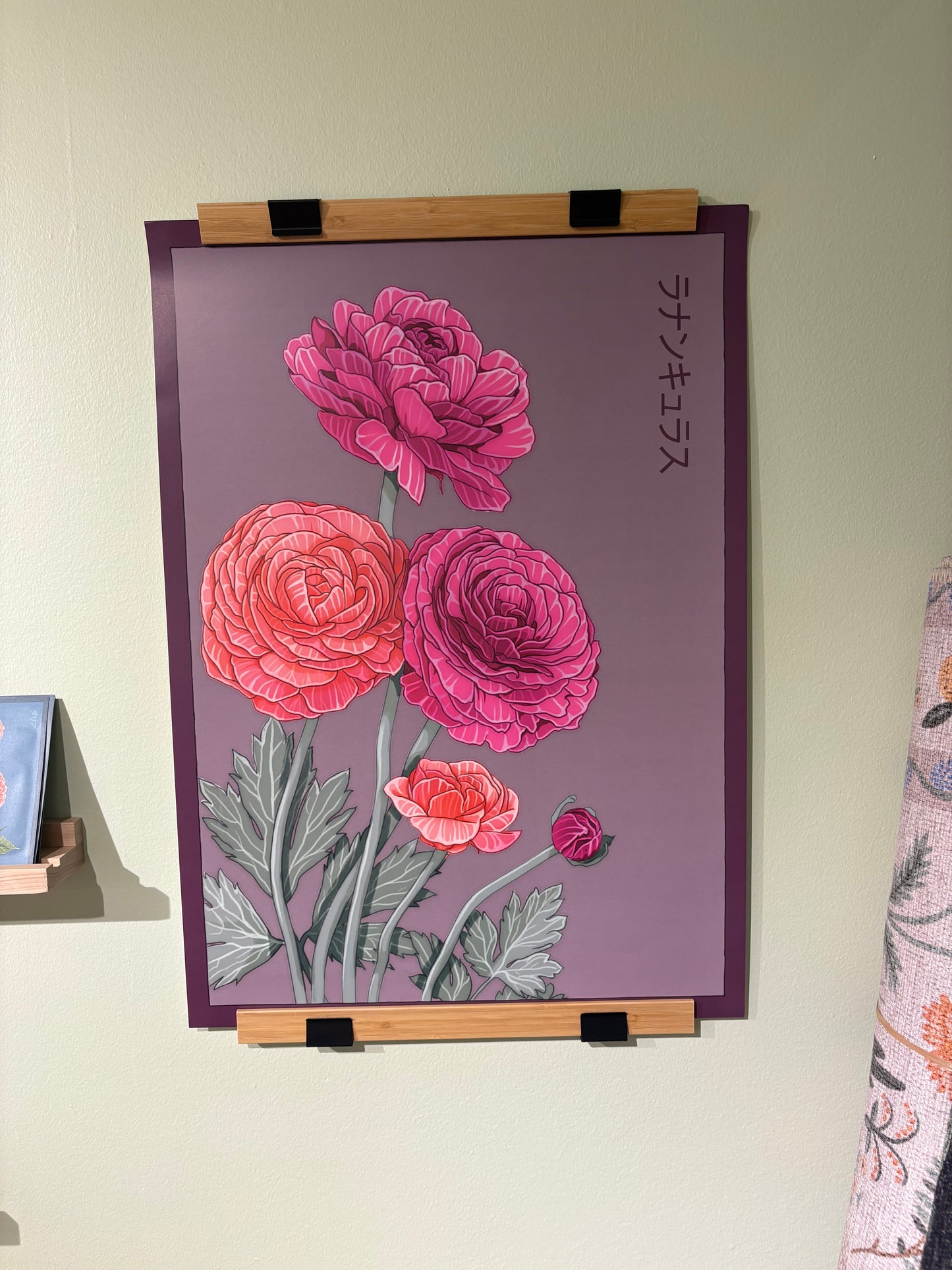 Shido Poster Ranunculus