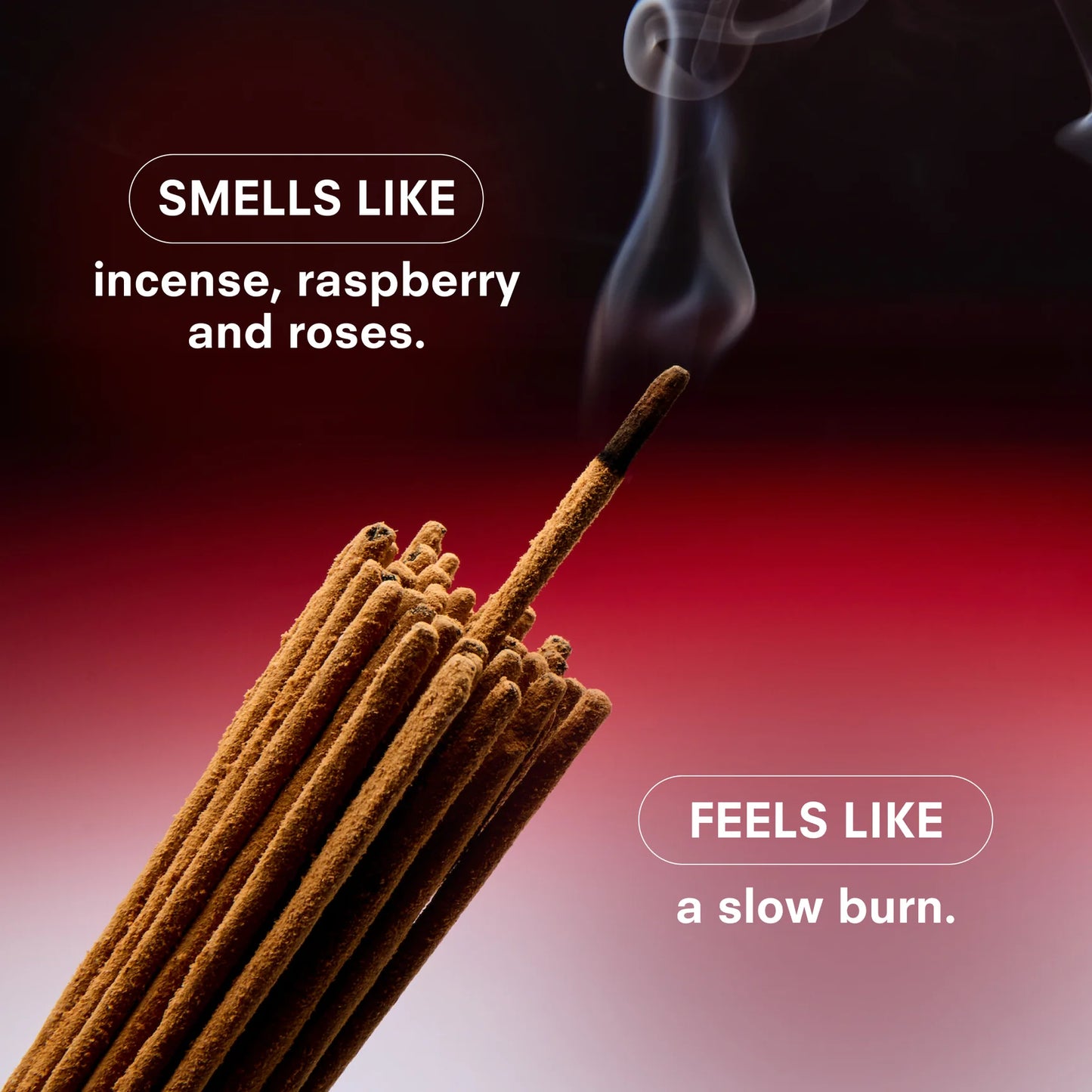 Boy Smells Perfume - Red Hot