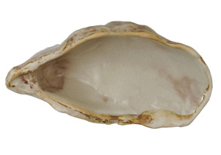 Oyster Shell Dish - 4 Colors