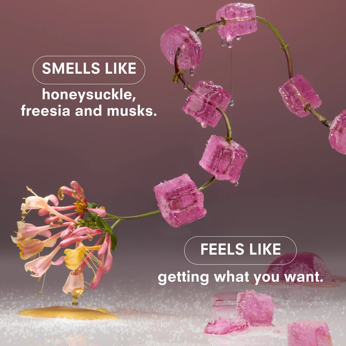 Boy Smells Perfume - Sugar Baby