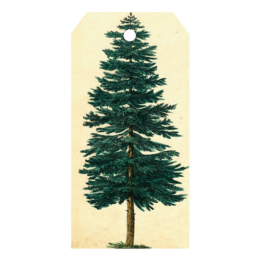 John Derian Gift Tags
