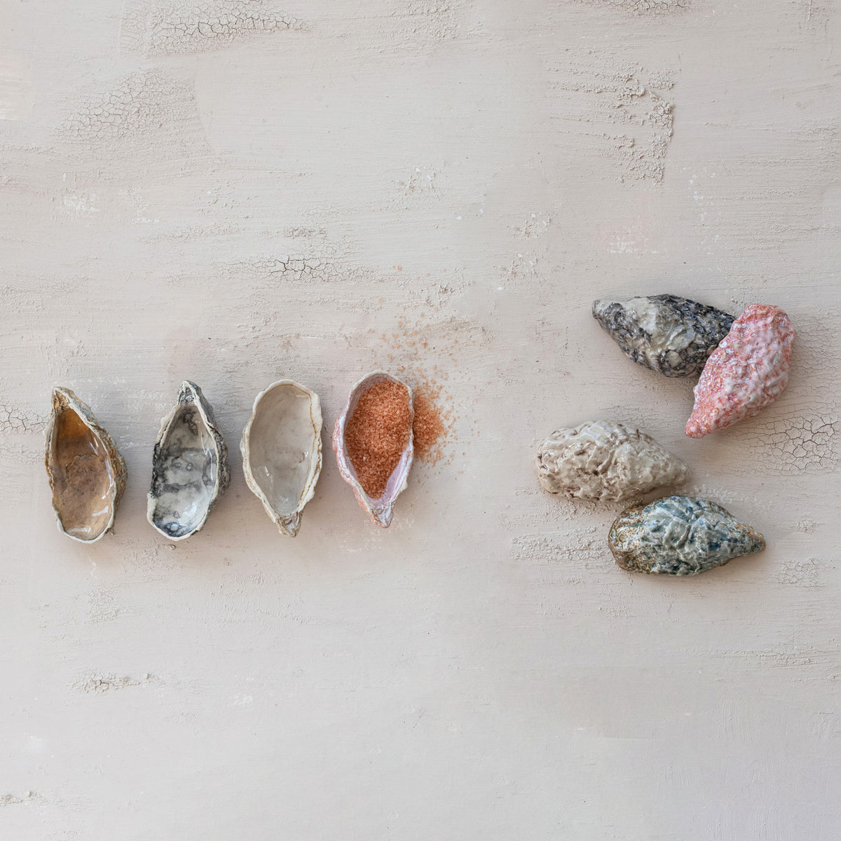 Oyster Shell Dish - 4 Colors