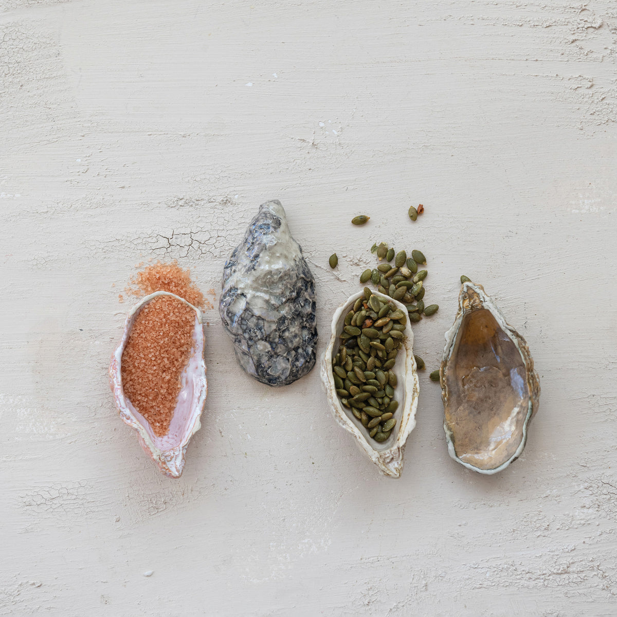 Oyster Shell Dish - 4 Colors