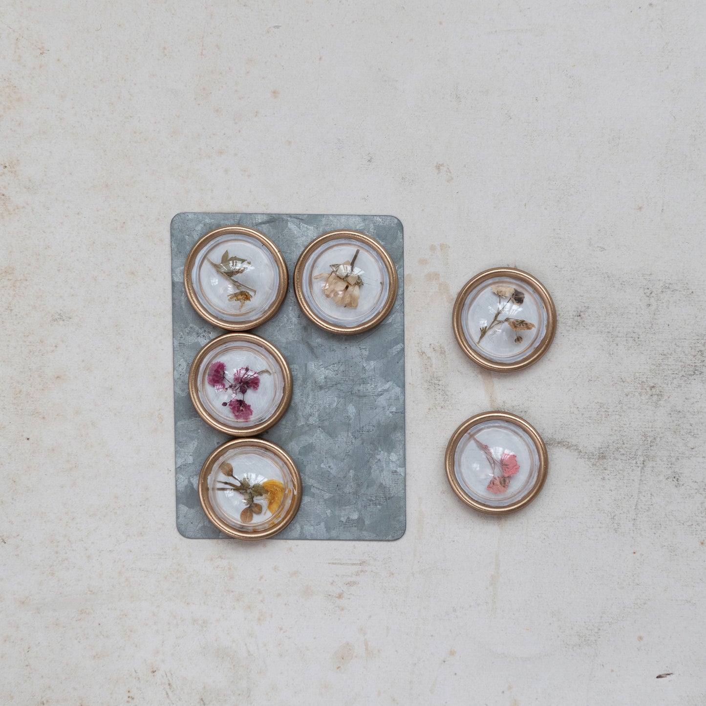 Botanical Magnets S/6