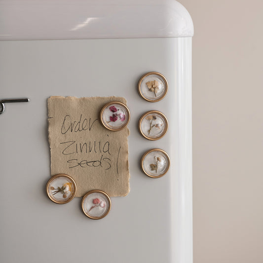 Botanical Magnets S/6