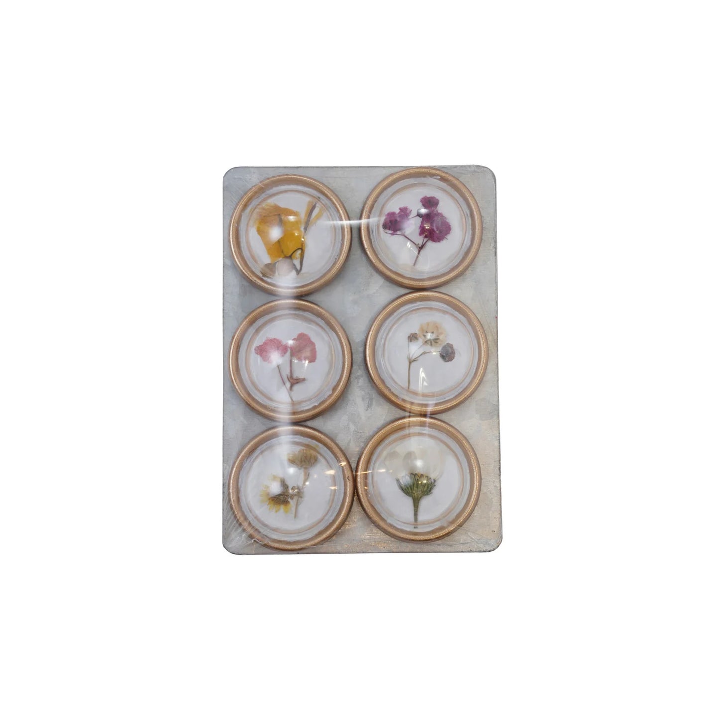 Botanical Magnets S/6